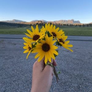 Meet your Posher, Emily